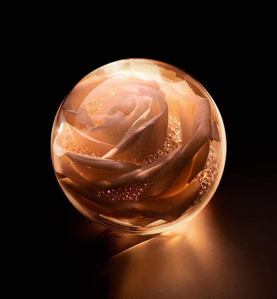 Load image into Gallery viewer, DIOR PRESTIGE LA MICRO-HUILE DE ROSE ACTIVATED SERUM