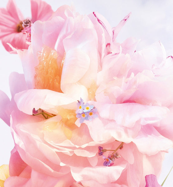 Load image into Gallery viewer, MISS DIOR BLOOMING BOUQUET