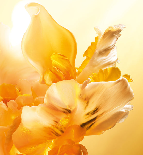 Load image into Gallery viewer, J'ADORE L'OR