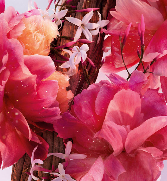 Load image into Gallery viewer, MISS DIOR PARFUM