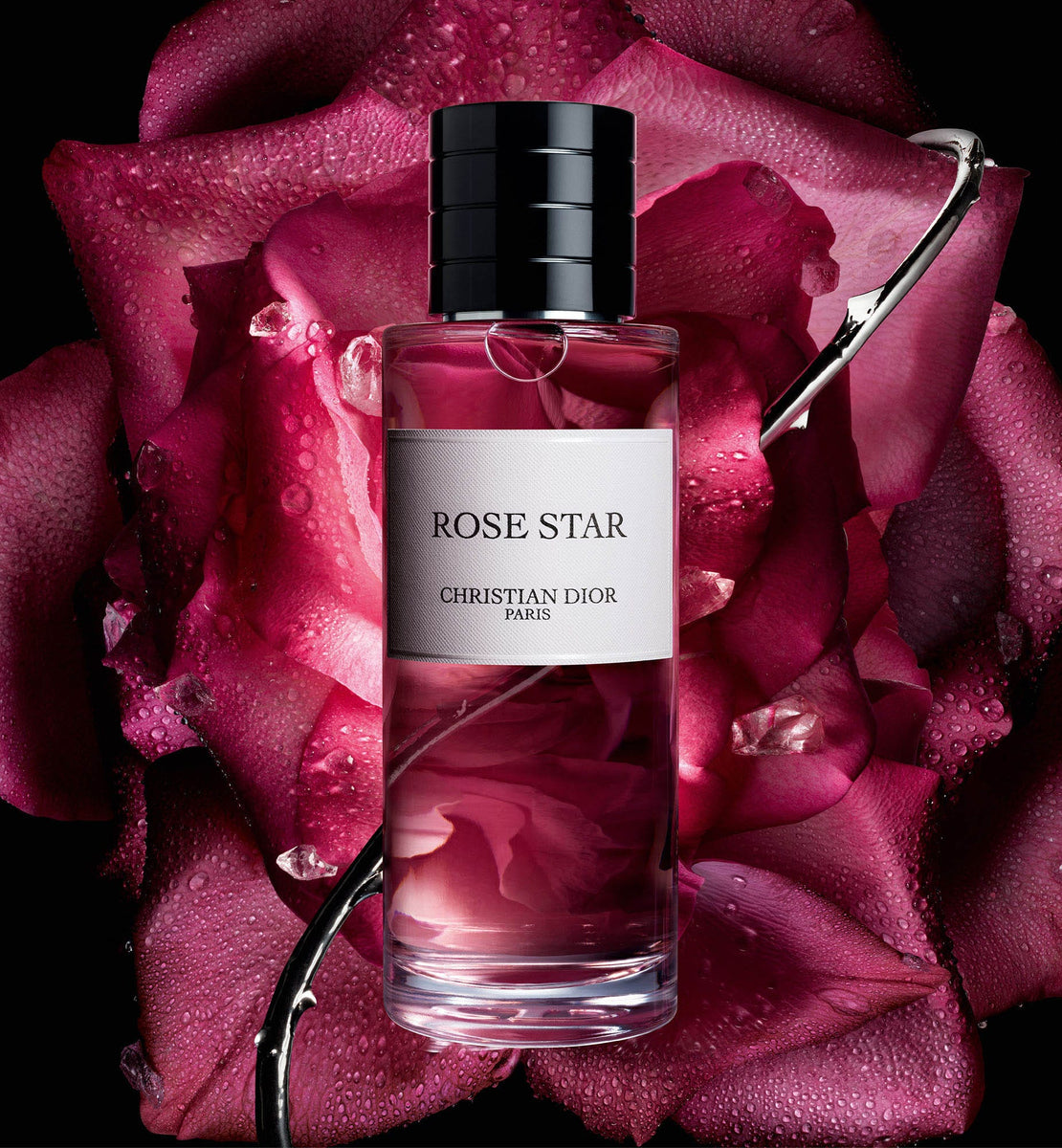 ROSE STAR クリスチャン・ディオール 50ml ROSE STAR | DIOR ZA