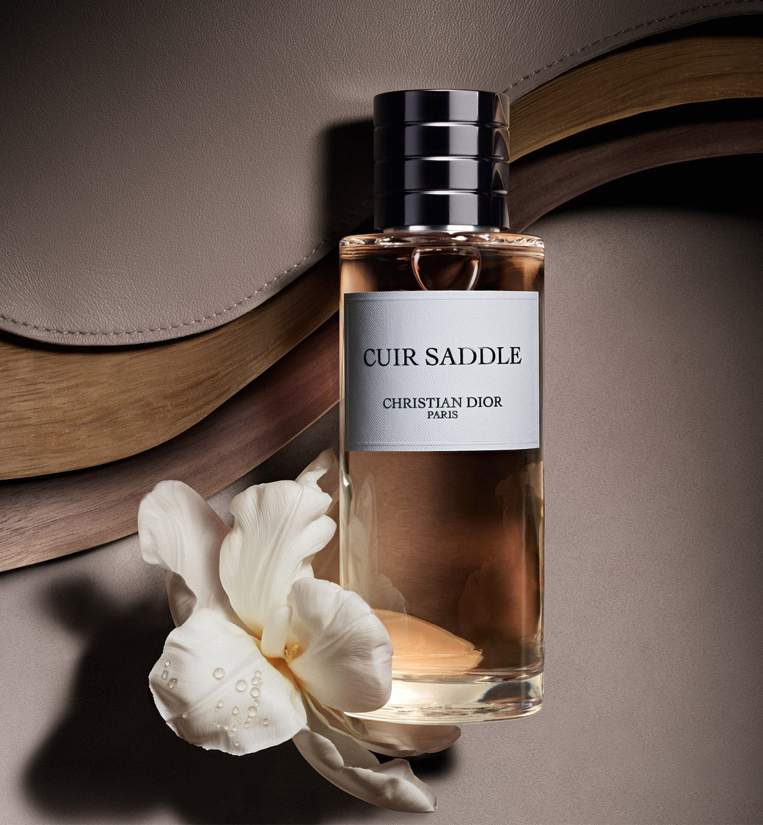 CUIR SADDLE | DIOR ZA