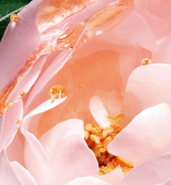 Load image into Gallery viewer, MOISTURIZING LOTION