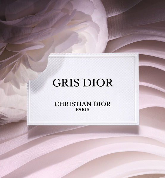 Load image into Gallery viewer, GRIS DIOR
