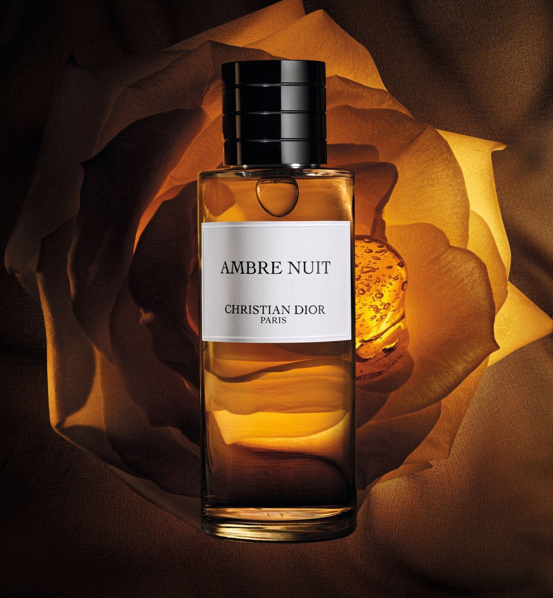 AMBRE NUIT | DIOR ZA