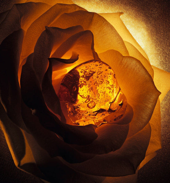 Load image into Gallery viewer, AMBRE NUIT