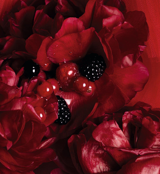 Load image into Gallery viewer, ROUGE TRAFALGAR