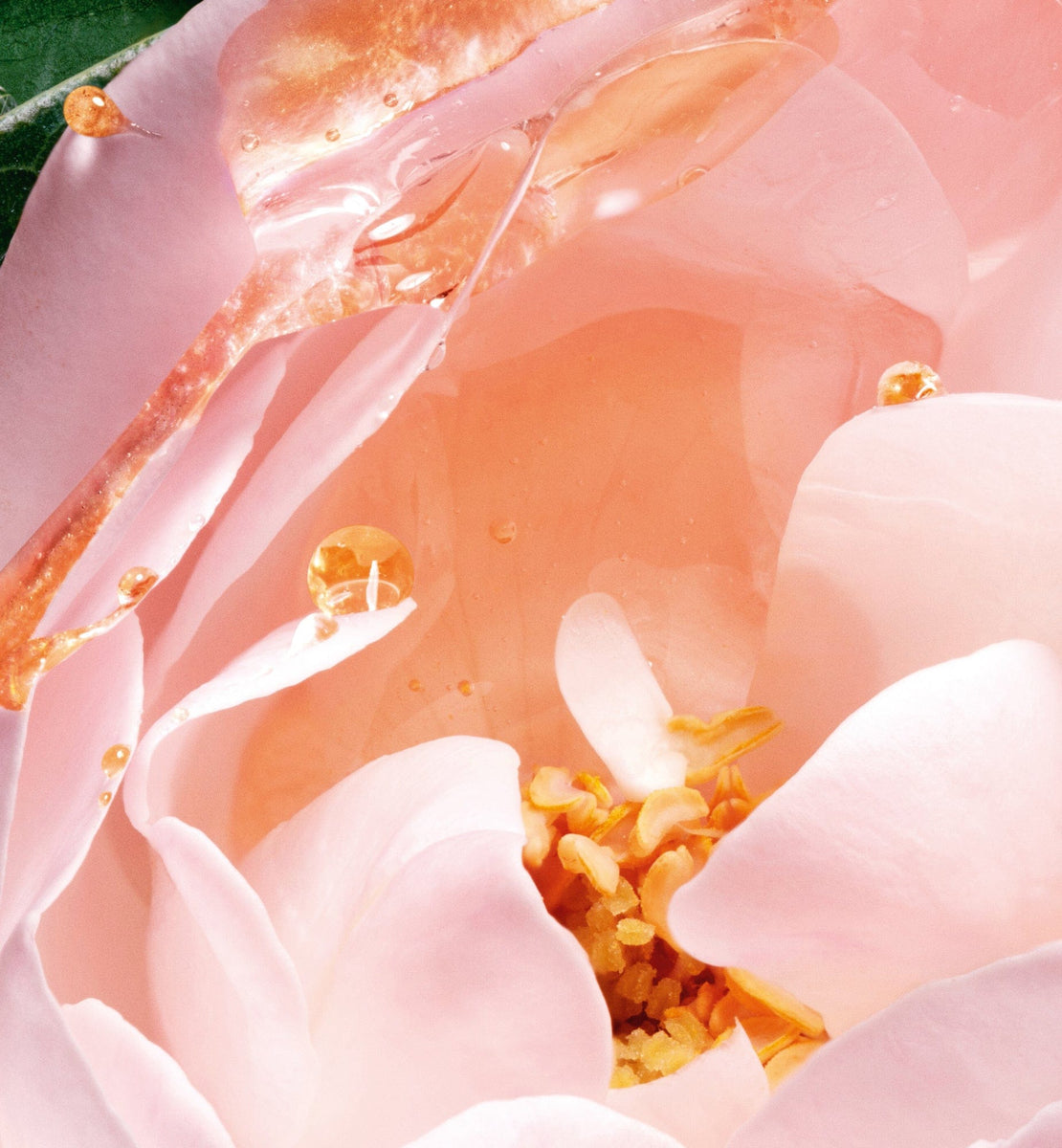 DIORIVIERA | DIOR ZA