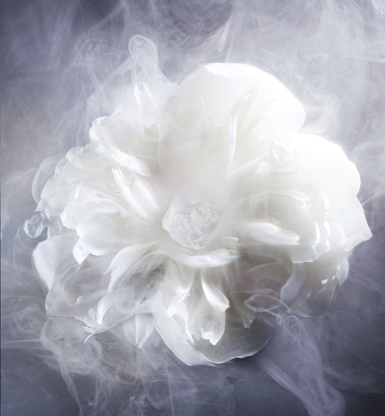 Load image into Gallery viewer, NEW LOOK