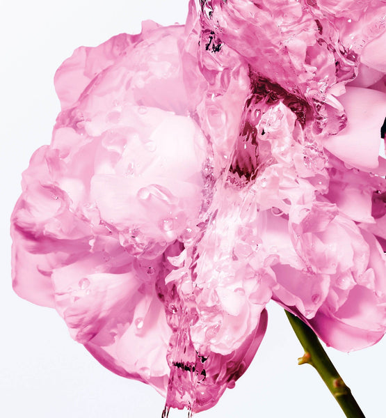 Load image into Gallery viewer, MISS DIOR EXFOLIATING BODY OIL WITH ROSE EXTRACT