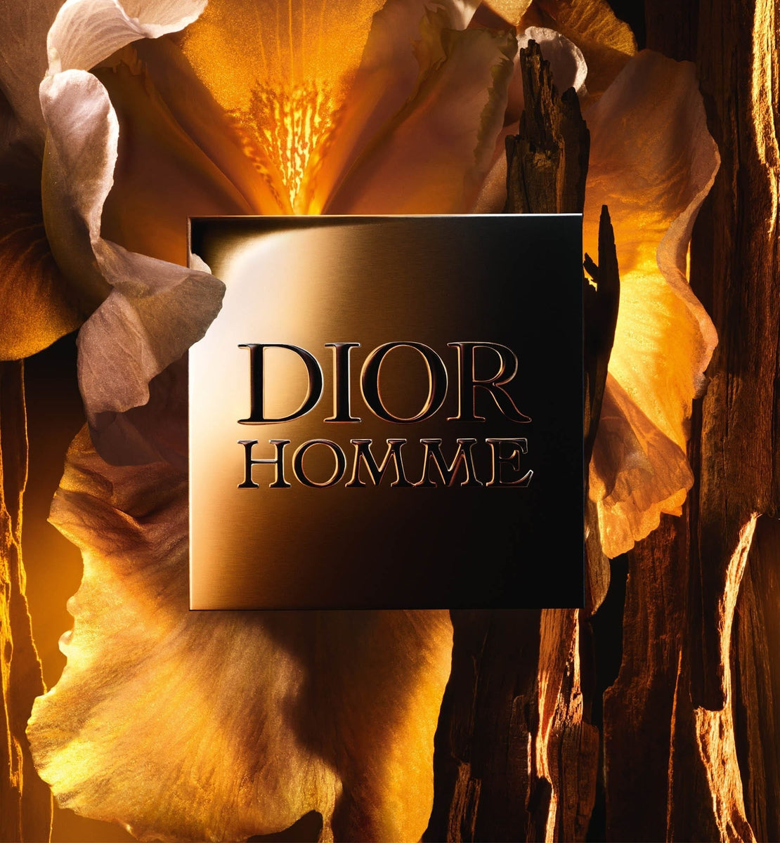 DIOR HOMME PARFUM | DIOR ZA
