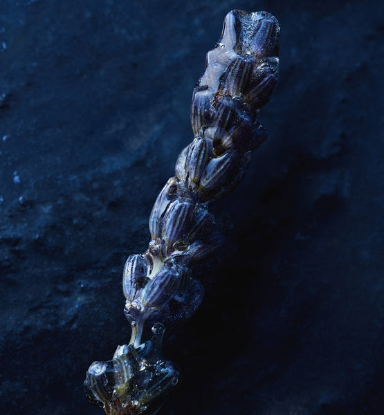 Load image into Gallery viewer, SAUVAGE EAU FORTE