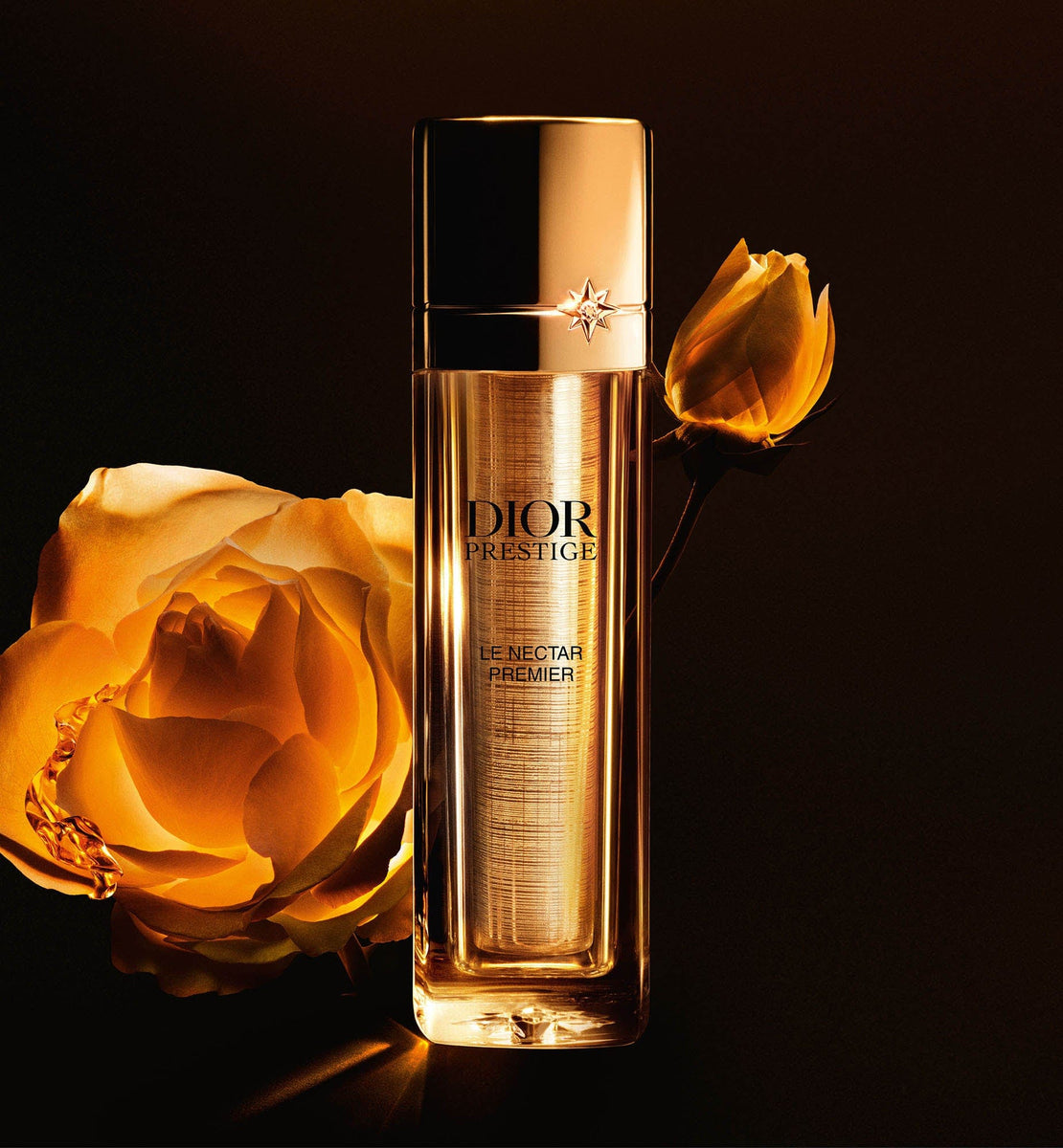 DIOR PRESTIGE LE NECTAR PREMIER CASE | DIOR ZA