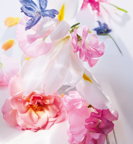 Load image into Gallery viewer, MISS DIOR EAU DE PARFUM ROLLER-PEARL