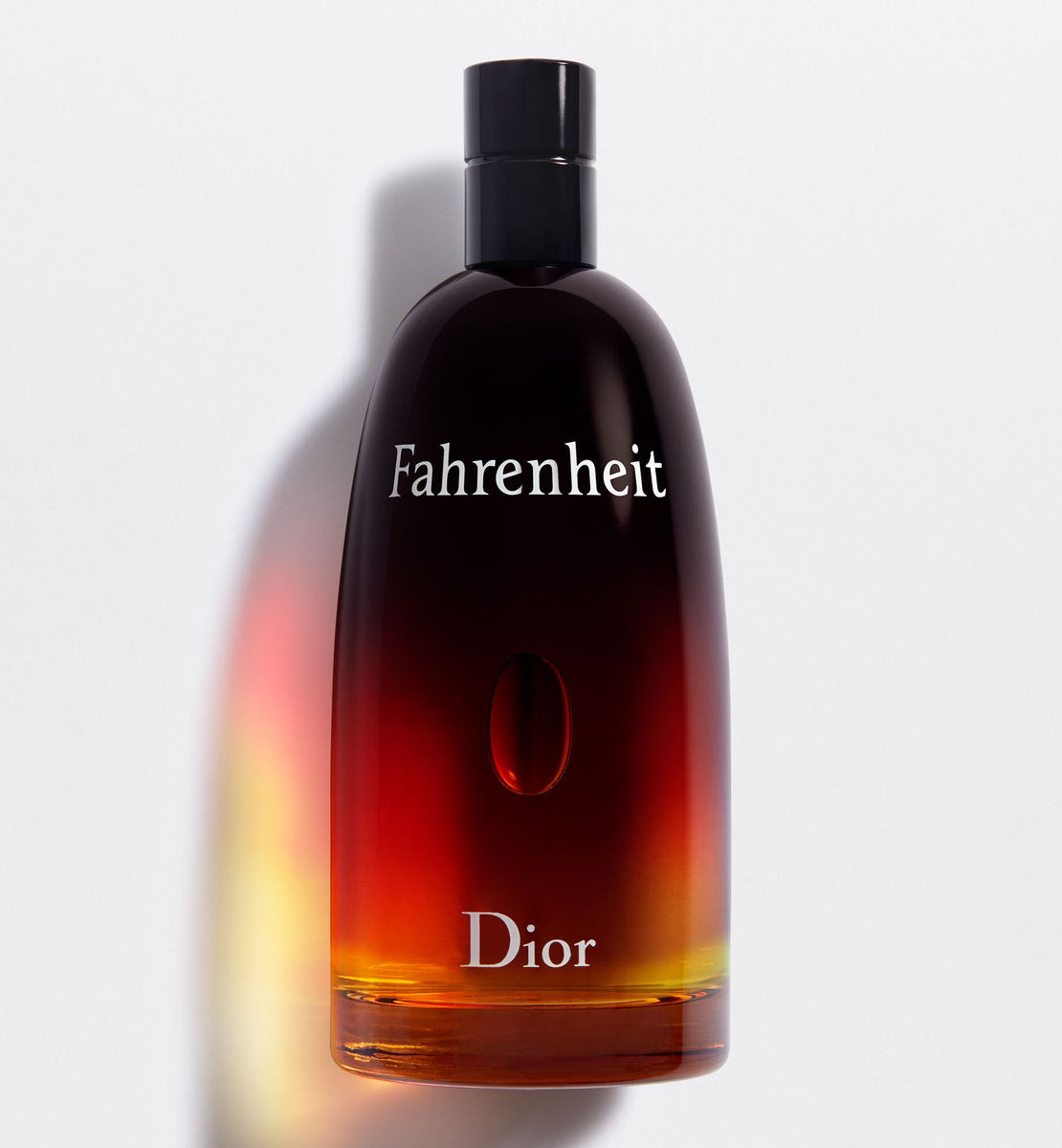BPS69 Dior Fahrenheit オードトワレ 100ml FAHRENHEIT EAU DE TOILETTE | DIOR ZA