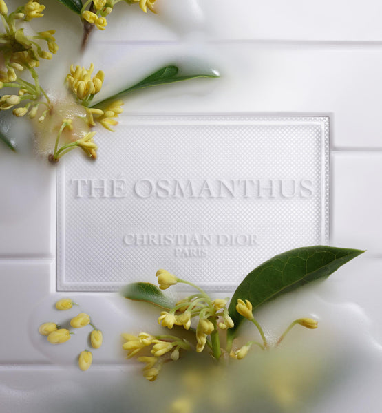 Load image into Gallery viewer, SCENTED CANDLES
