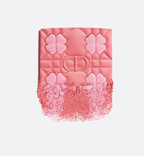 Load image into Gallery viewer, ROUGE BLUSH - FALL LIMITED EDITION
