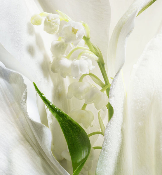 Load image into Gallery viewer, SCENTED SOAP
