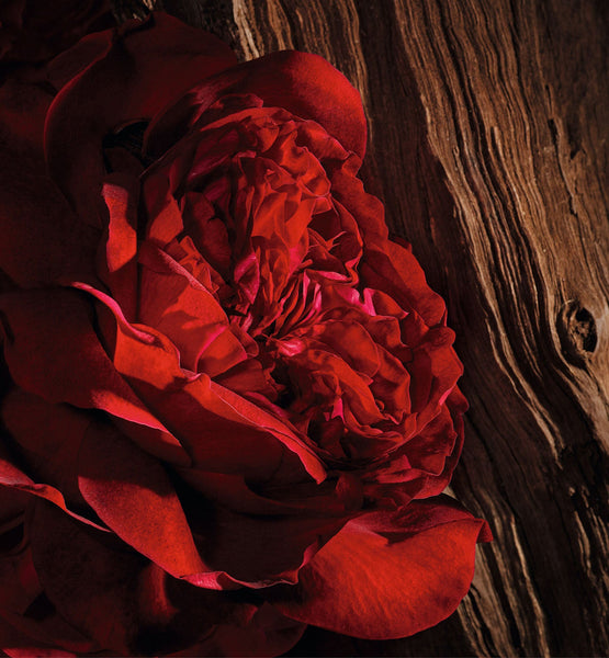 Load image into Gallery viewer, SCENTED SOAP
