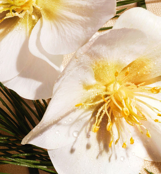 Load image into Gallery viewer, SCENTED SOAP
