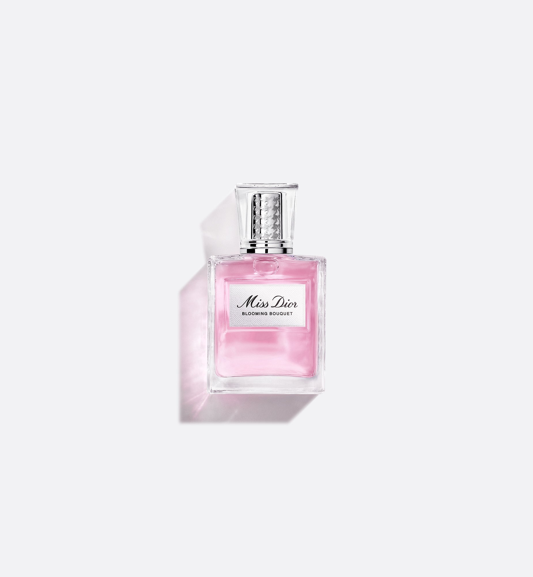 Sauvage Elixir