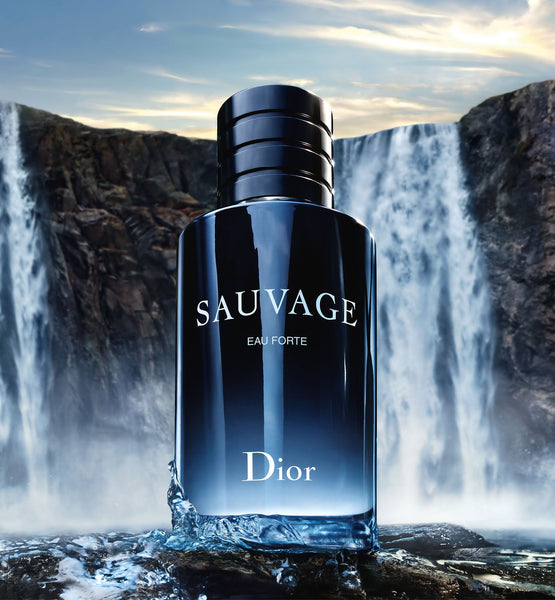 Load image into Gallery viewer, SAUVAGE EAU FORTE
