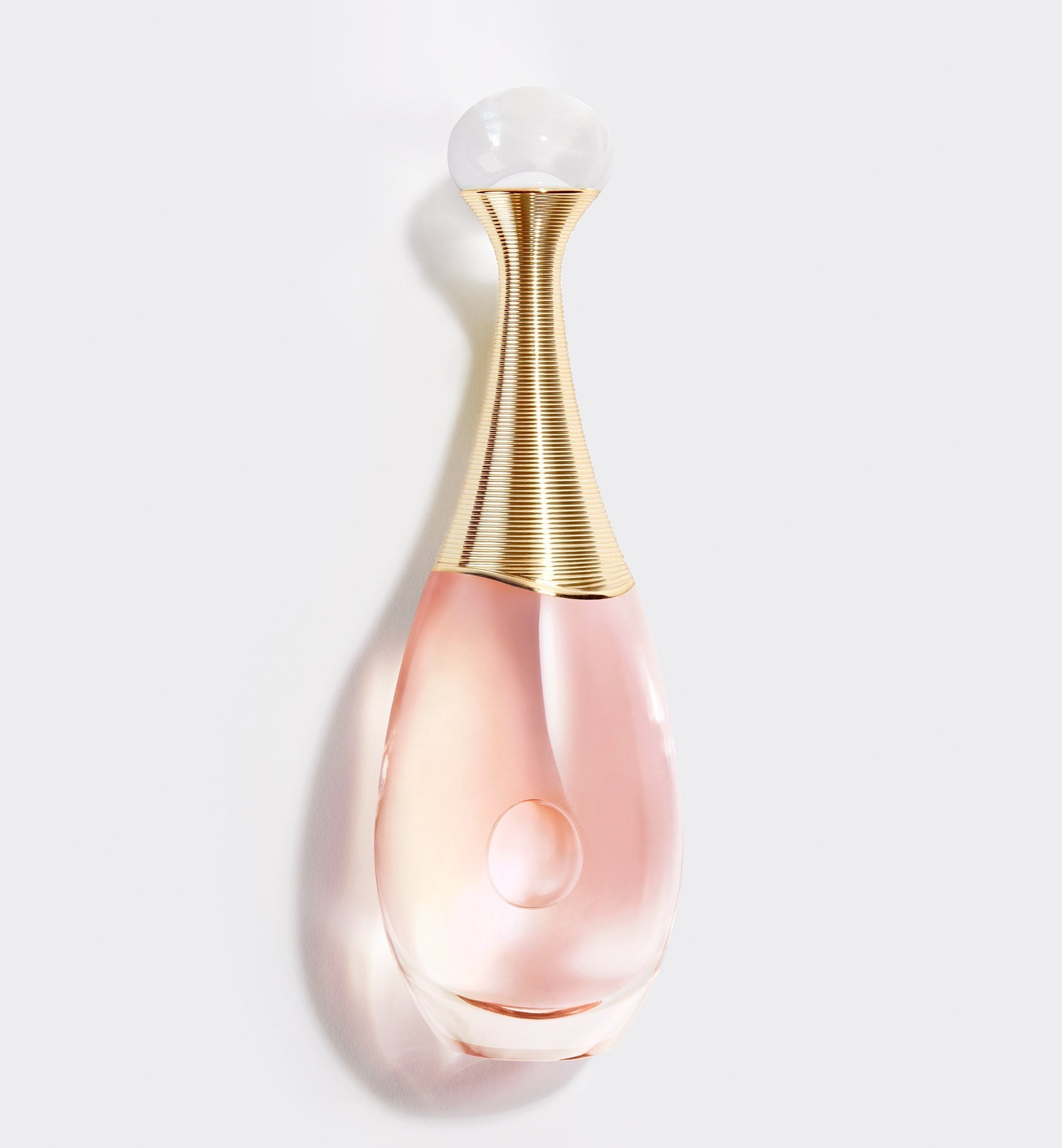 Perfume jadore 100 ml online