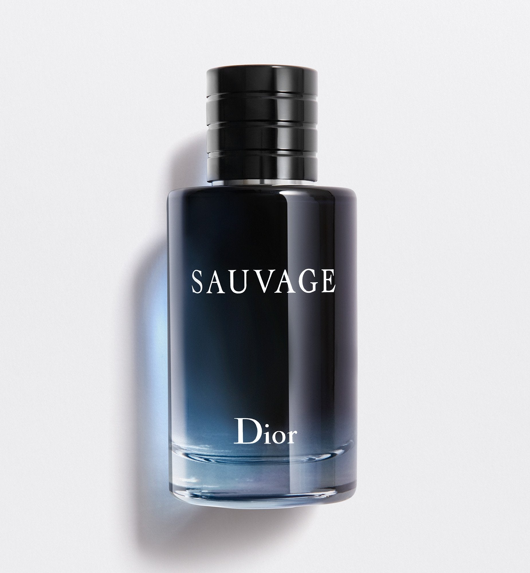 Sauvage DIOR ZA sauvage-dior-za